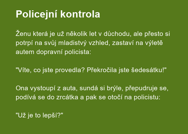 Policejní kontrola