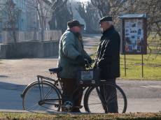 Roli při léčbě Alzheimerovy choroby by mohl hrát jazyk