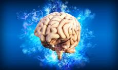 Banka mozkových tkání je nadějí pro pacienty s Alzheimerem